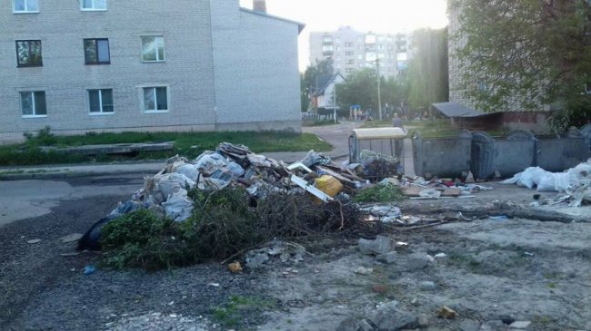 У Луцьку біля садка «виросла» гора сміття. ФОТО