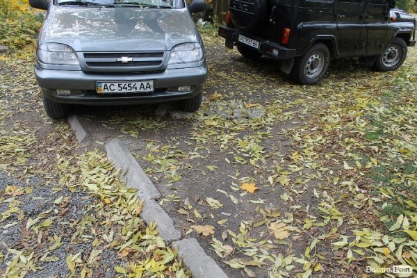 «Якщо жінка забеременніла в лісі, то що, лісники мають аліменти платити?» - головний лісівник Волині