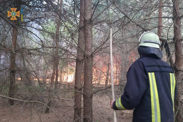 На Волині за день горіло 24 гектари лісу