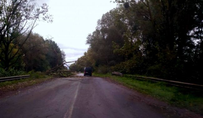 Зірвані дахи, поламані дерева і підтоплені вулиці: наслідки негоди на Волині. ФОТО