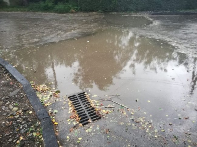 Зірвані дахи, поламані дерева і підтоплені вулиці: наслідки негоди на Волині. ФОТО