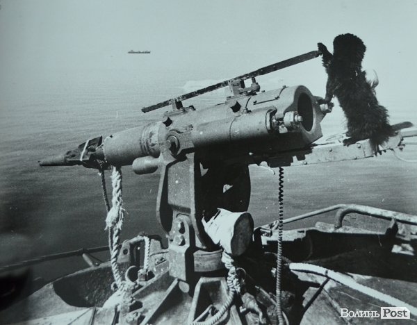 Гарпунна гармата радянського китобійного судна