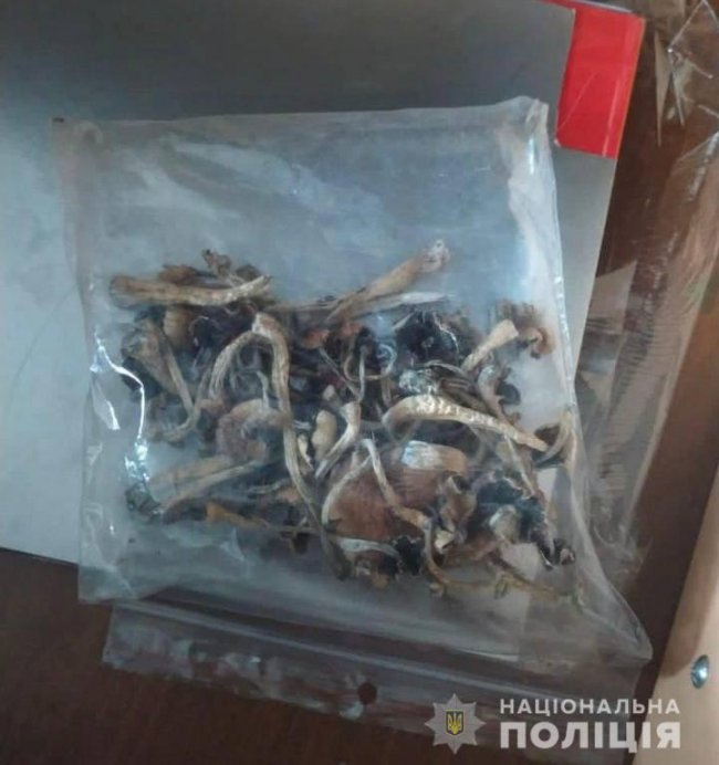 У лучан вдома знайшли галюциногенні гриби, канабіс, коноплю та амфетамін. ФОТО
