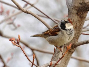 Дощ, мокрий сніг і вітер: синоптик попереджає про суттєве похолодання