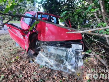 На Волині водій з’їхав у кювет: постраждала 6-річна дівчинка