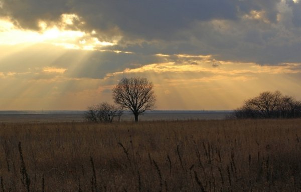 Фотовиставка Павла Березюка