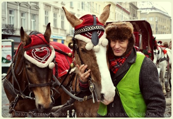 Фотовиставка Діани Шишкової-Морозюк