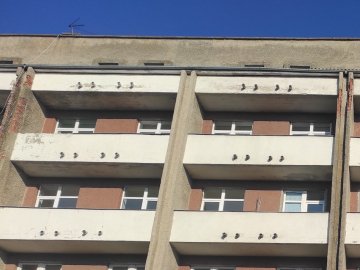 Повідомили про ситуацію в ковідному шпиталі в Боголюбах