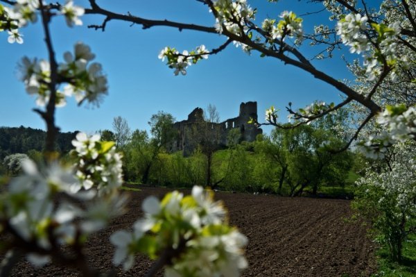 ТОП-5 маловідомих туристичних місць Західної України. ФОТО