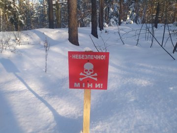 Тероборонівці забороняють жителям волинського прикордоння йти в ліс по ялинки