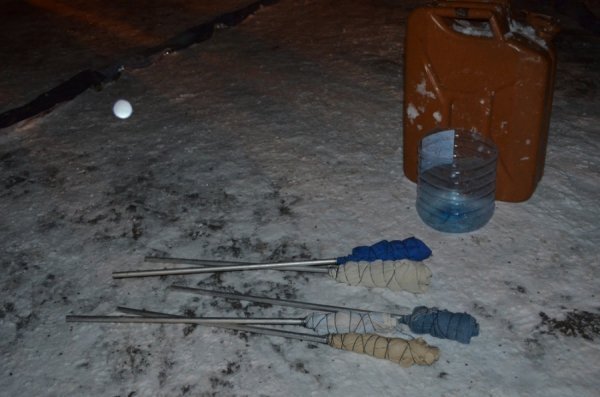 У центрі Луцька на честь Героїв Крут палав тризуб. ФОТО. ВІДЕО