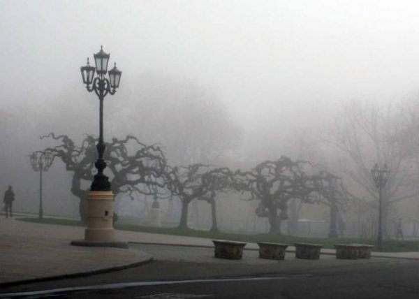 Туман перетворив Україну на «Сайлент-хілл». ФОТО