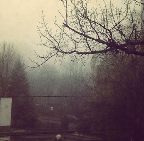 Туман перетворив Україну на «Сайлент-хілл». ФОТО