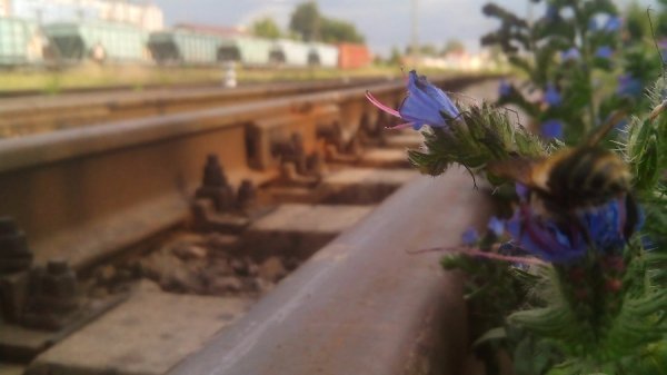 Найцікавіше за 16 липня у Інтернет-групах Луцька