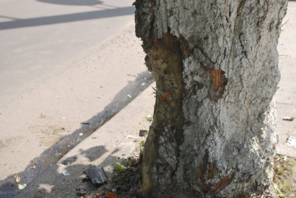 У центрі Луцька за день ‒ дві ДТП. ФОТО