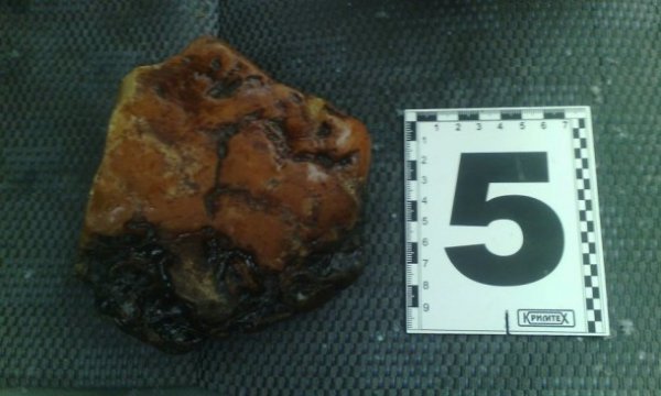 Лучанин хотів збути чотири кілограми бурштину. ФОТО