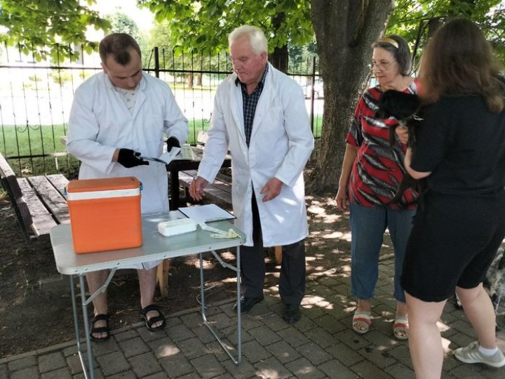 У Луцьку безплатно вакцинували від сказу 40 котів і собак