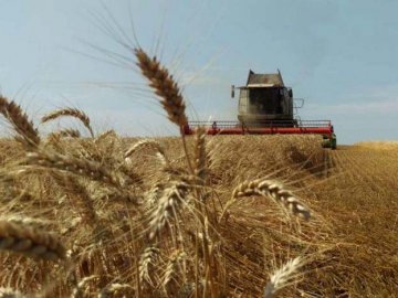 На Волині стартували жнива. ВІДЕО