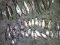 На Волині браконьєри уночі рибалили електровудкою. ФОТО