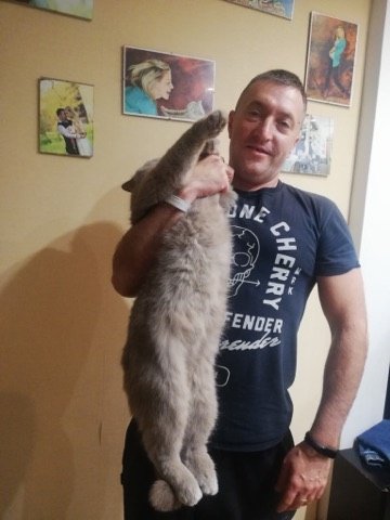 Всесвітній день домашніх тварин: волиняни показали фото і розповіли зворушливі історії своїх улюбленців