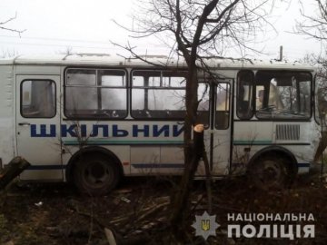 Водій шкільного автобуса, який на Волині зніс паркан та врізався в дерево, заплатить штраф