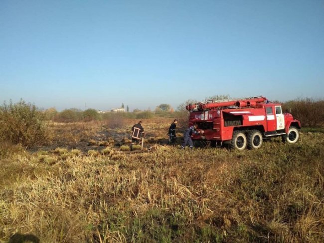 На гасіння масштабної пожежі на торфовищі залучили спецтехніку з Луцька