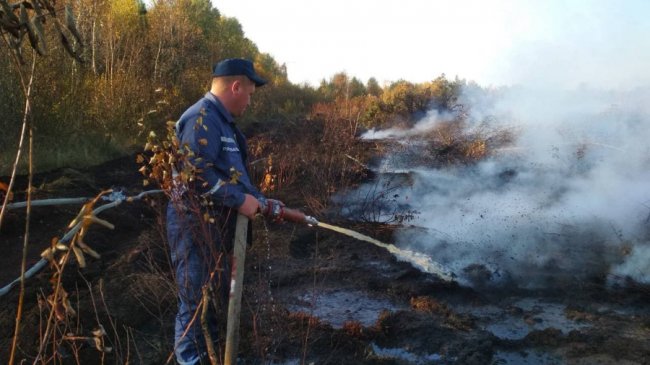 На гасіння масштабної пожежі на торфовищі залучили спецтехніку з Луцька