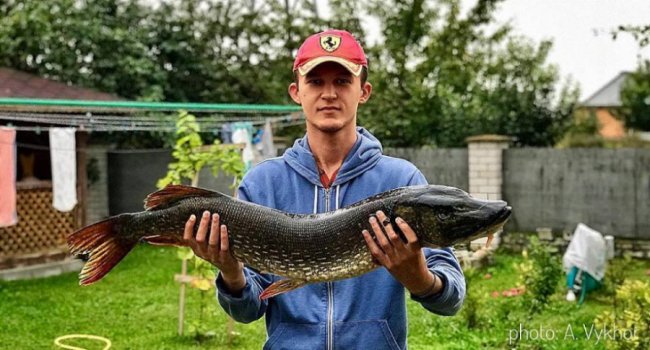 Волинський священик разом із сином упіймав велетенську щуку. ФОТО