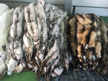 Волинські прикордонники знайшли контрабандні комп'ютери та хутро. ВІДЕО. ФОТО 