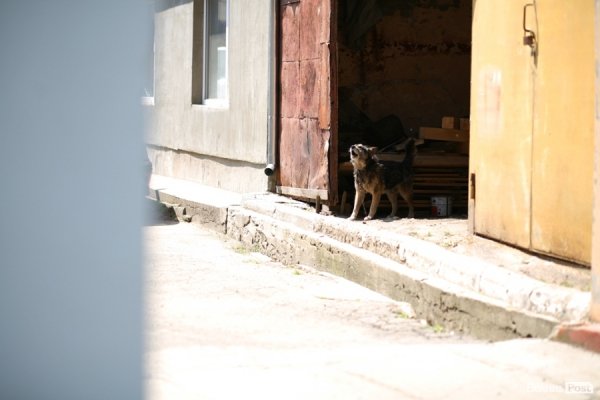 Охоронець СТО