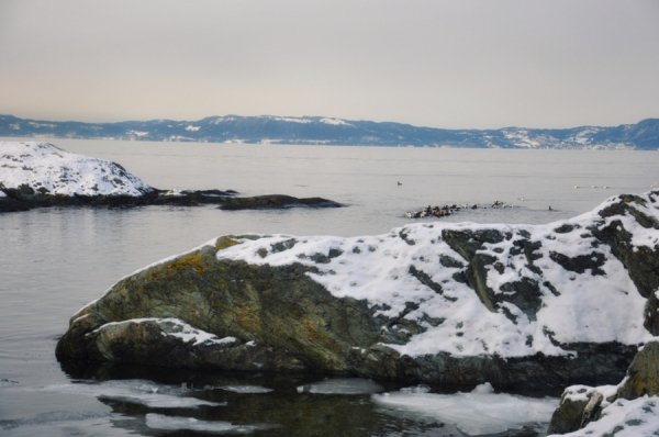 Фотовиставка Лідії Кожевнікової 