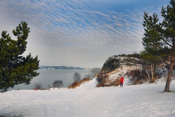 Фотовиставка Лідії Кожевнікової 