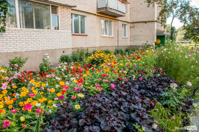 «Хто живе на ЛПЗ, тому у житті везе»: день на луцькому районі контрастів. ФОТО