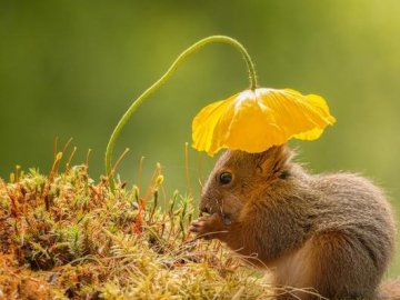 Погода у Луцьку та Волинській області на завтра, 2 липня