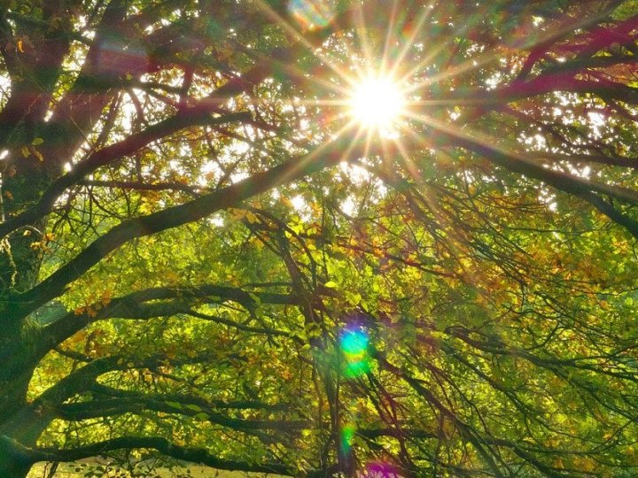 Як святкувати осіннє рівнодення 2025 року: коли воно відбудеться, що означає ця дата