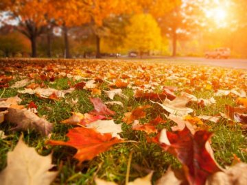 Погода у Луцьку на завтра, 16 жовтня