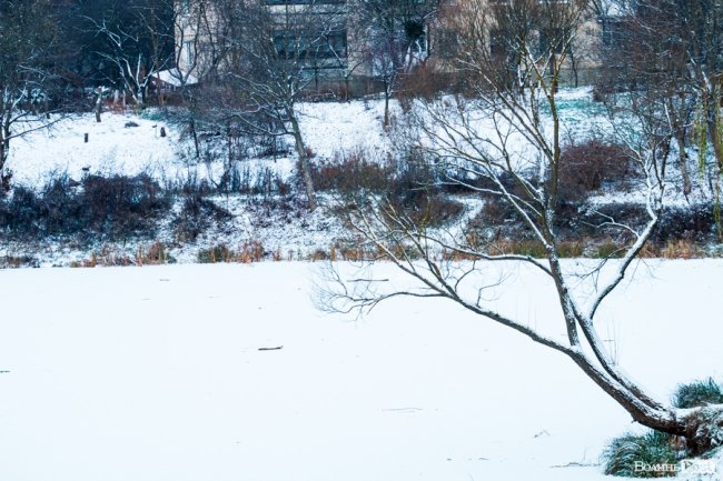 Парк 900-річчя Луцька під першим снігом. ФОТО