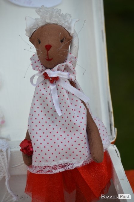 У Луцьку відзначили День молоді та День Конституції. ФОТО