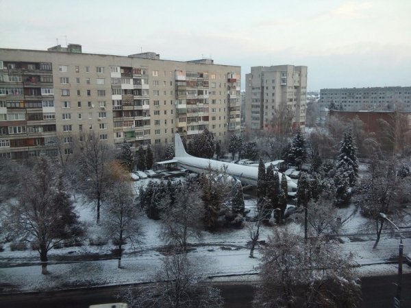 Перший сніг у Луцьку: реакція соцмереж. ФОТО