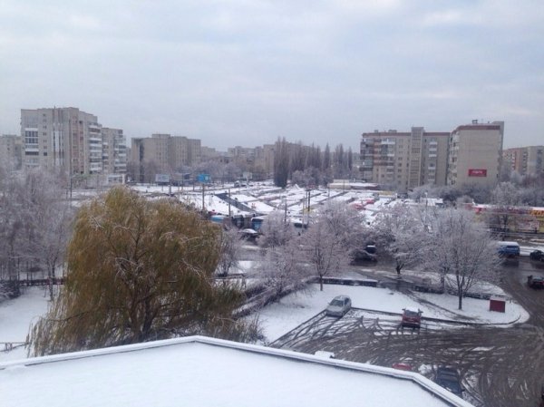 Перший сніг у Луцьку: реакція соцмереж. ФОТО