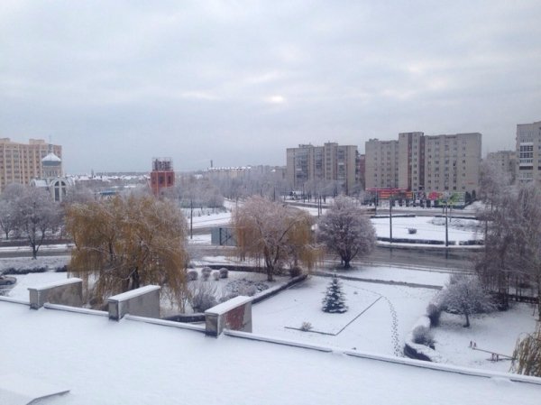 Перший сніг у Луцьку: реакція соцмереж. ФОТО