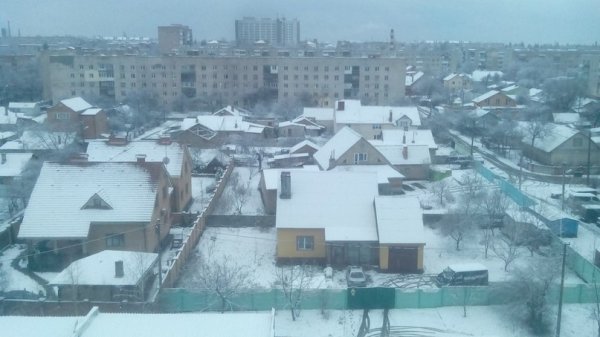 Перший сніг у Луцьку: реакція соцмереж. ФОТО