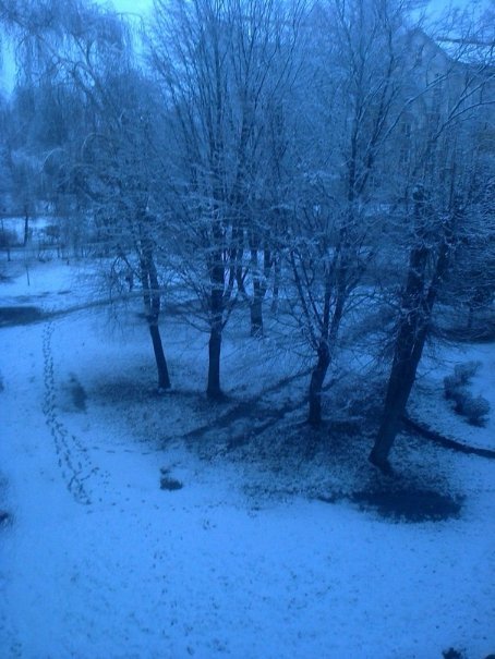 Перший сніг у Луцьку: реакція соцмереж. ФОТО