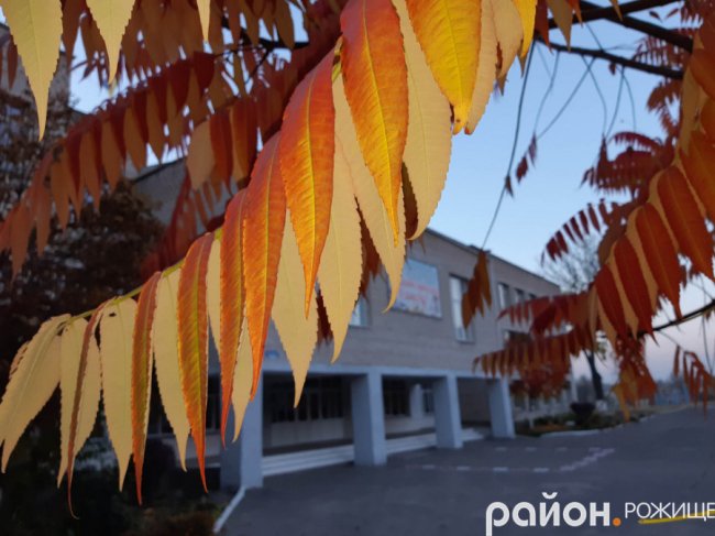 Місто на Волині восени: жовто-багряна краса. ФОТО