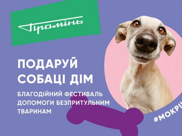 20 безпритульних собак чекатимуть у «Промені» на нову родину*