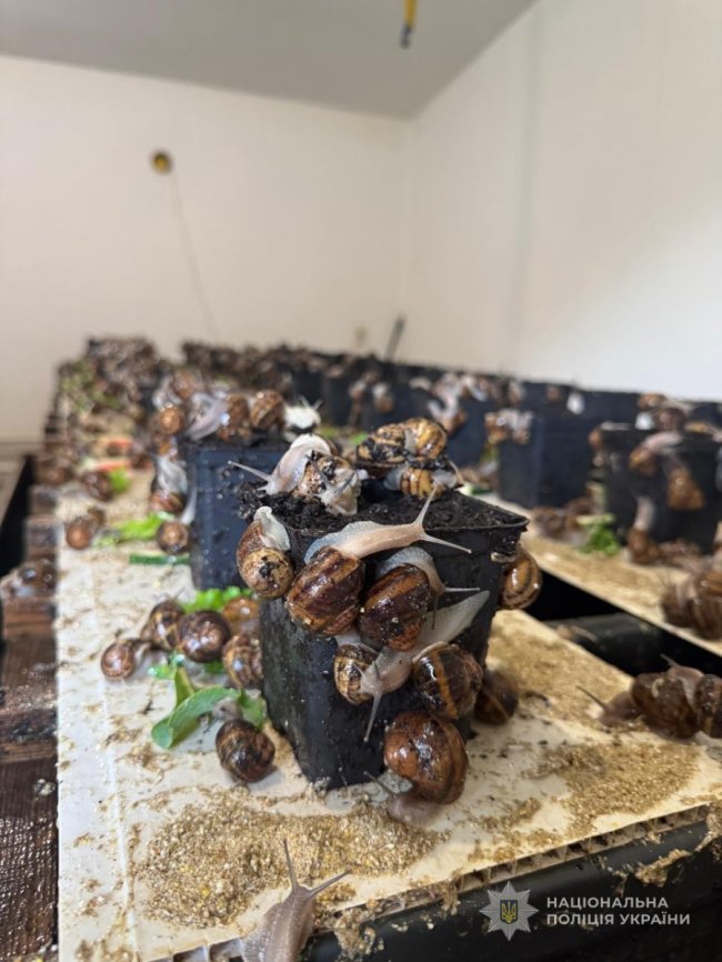 Поранені правоохоронці на Волині відвідали равликову екоферму. ФОТО