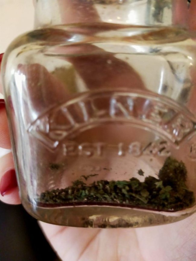 Лучанин у власній квартирі влаштував наркобізнес. ФОТО