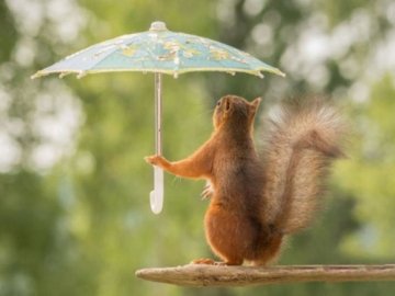 Беріть парасолі: погода у Луцьку на 25 серпня