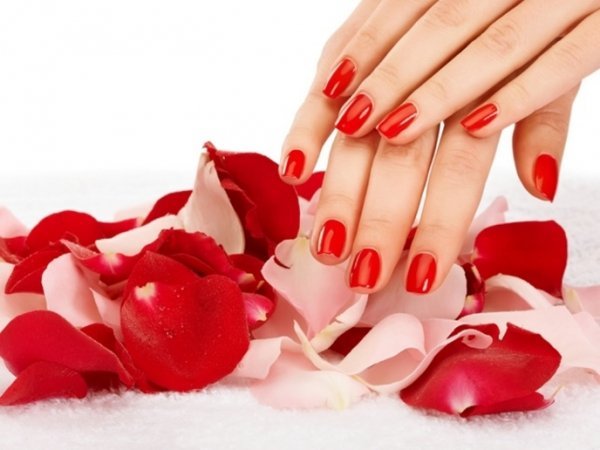 Лучанок запрошують на курси краси*