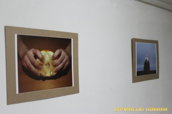 «Еротично-політична» виставка в Луцьку. ФОТО